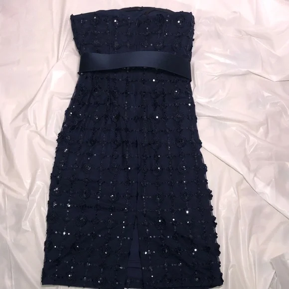 NWT KARL LAGERFELD Strapless Dress with Belt